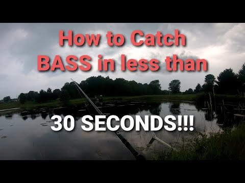 How to Catch BASS in Less Than 30 SECONDS!!! (Doubled Up!!!)