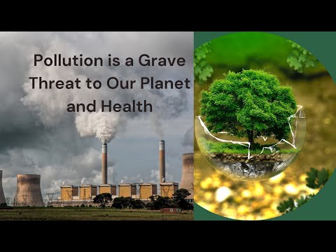 The devastating effects of pollution on the environment