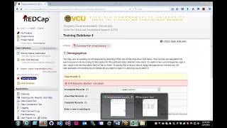REDCap Data Import Tool