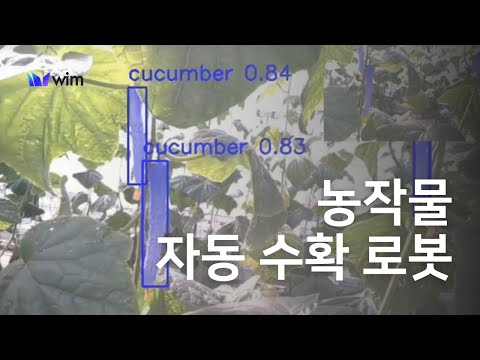 [WIM Robotics] 농촌의 일손 부족, 오이 수확은 인공지능로봇으로 해결하세요