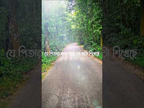 ইসলাম একটি পূর্ণাঙ্গ জীবন ব্যবস্থা