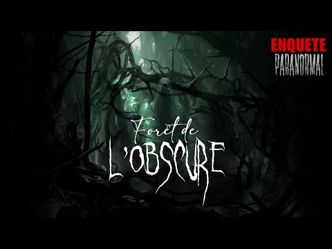 Forest of Darkness? Paranormal Investigation in Huelgoat