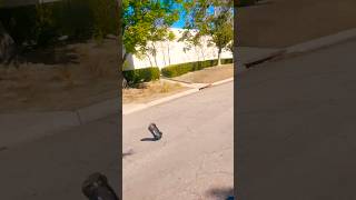 RC Speedrun Testing #fail #flip #crash