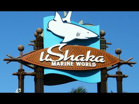 DURBAN FAMILY TRIP VLOG | SHAKA MARINE, BEACH VIEWS, FAMILY LUNCH, Samsung vs iPhone, REMOTE WORK