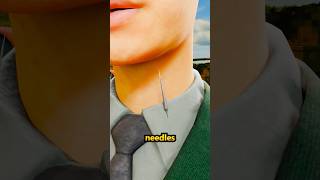 Why Soldiers Have Pins On Their Collars