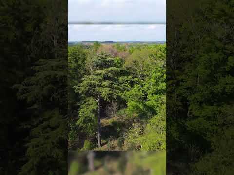 Panshanger Park, Hertford - 4K Drone Footage - 2023