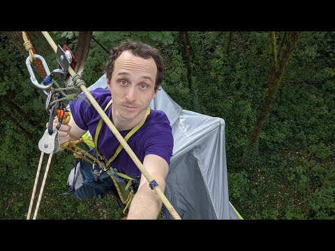 I Could Get Arrested For Occupying This Tree (Day 1)