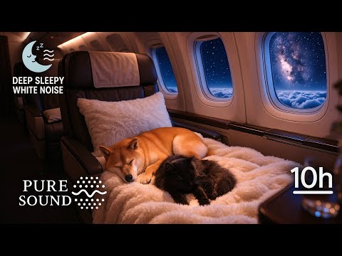 🔊 Fall Asleep, Study or Relax With Night Flight White Noise • 10 hours [No Mid-Roll Ads]