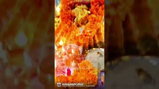 #diwali #glimpse #new #post #trending ##tejasveer #home