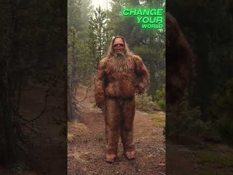 Monday Motivation with Bigfoot