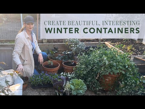 Create Beautiful, Interesting Winter Containers