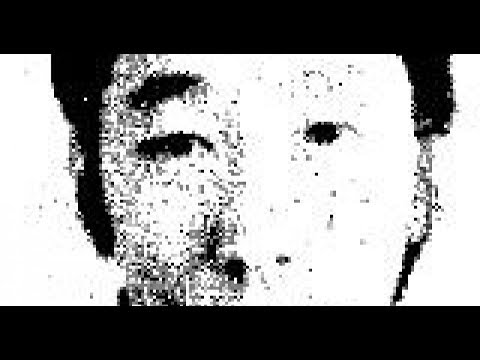 The Man Who Kamikazed a Yakuza Don's Mansion