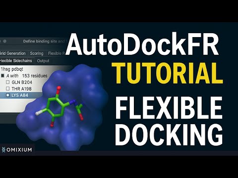 Flexible Docking using AutoDockFR (ADFR) | AGFR-GUI | Molecular Docking