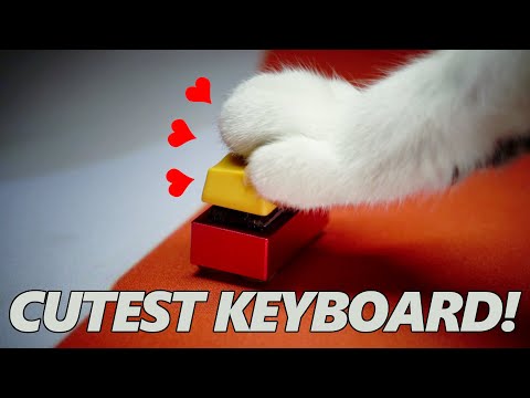Building XD002 with Gateron Ink V2 [with my cat]