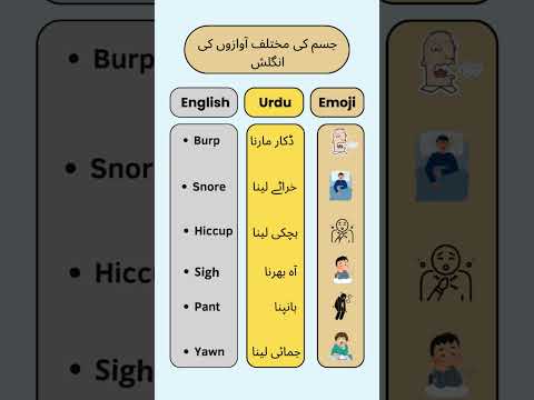 جسم کی مختلف آوازوں کی انگلش #englishzone #phrases #englishlanguage #englishgrammar  #whquestions