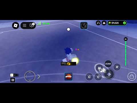 HOOPZ AIMBOT BLOOM