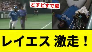 (Thump Thump) Reyes' Intense Sprint [Pro Baseball Reaction Compilation]