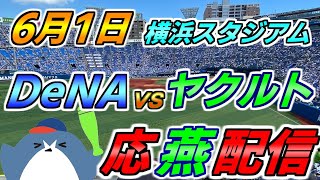 リーグ戦【DeNAベイスターズ × ヤクルトスワローズ】2025.6.1 応燕配信  @ 横浜スタジアム