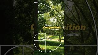 The Power of Composition