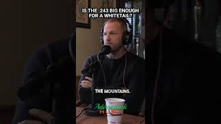 Is the .243 big enough for a whitetail?