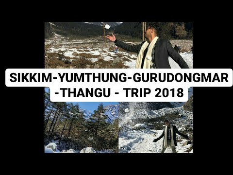 Sikkim Trip 2018 - Yumthung | Lachung | Gurudongmar