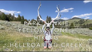 Yellowstone - Hiking Hellroaring Creek