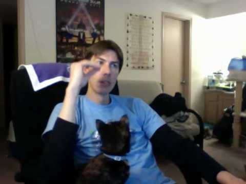 Cat Wants my Goldfish