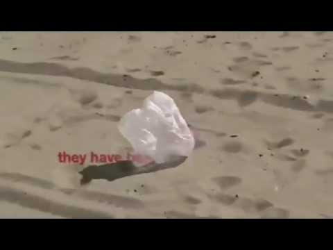 Ban Plastic Bags_x264.mp4