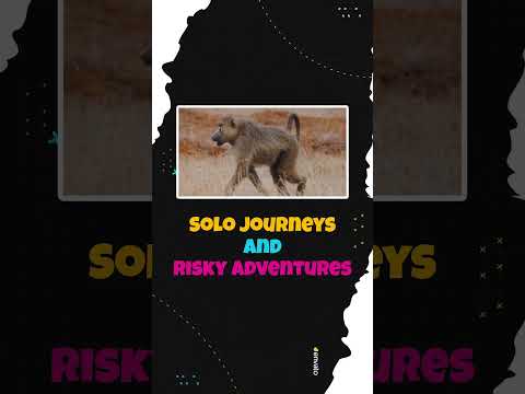 Do Animals Take Travel Vacations?  #travel  #adventure #trekking