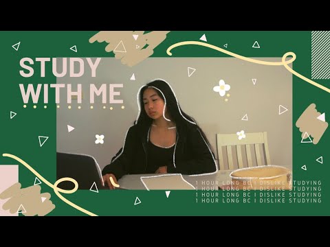 study with me- no music, 1 hour, with breaks! | gabrielle teo