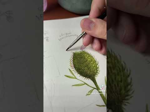 Nowa strona! #art #painting #watercolor #akwarele #drawing #illustration #sketch #watercolorart