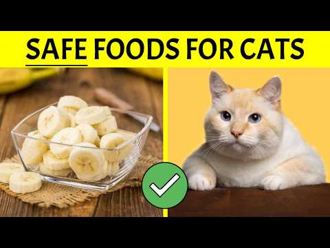These Human Foods Will Improve Your Cat's Health!
