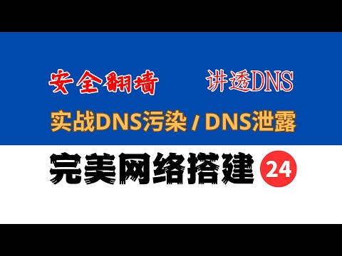 安全翻墙，讲透DNS！实战DNS污染和DNS泄露，完美网络24