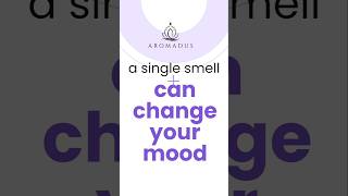 Your scent. Your power. Visit www.aromadus.gr  #PowerOfScent #ScentTherapy #ScentedMoments
