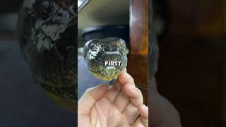 This Family Adopted a Python, and It Didn’t End Well...