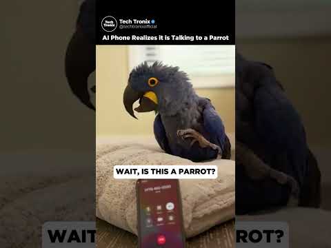 AI Phone Talks to Parrot🦜