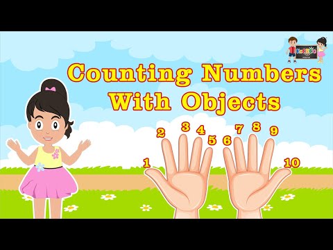 Counting Numbers With Objects | Counting Numbers 1-10 | Learn To Count