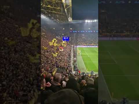 Karim Adeyemi with a fantastic goal! 💛🖤