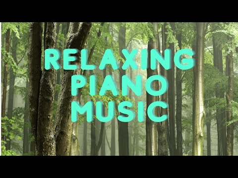 Relaxing Piano Music, Piano Music to fall asleep, Raining in the jungle