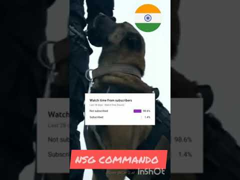 NSG COMMANDO VS PARA COMMANDO #short #indian army status