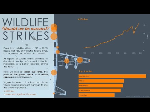 Epi 62 Iron Viz Special : Wildlife Strikes
