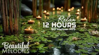 Tranquil Massage Ambience 🌿 Spa Music No Ads for Body & Mind Relaxation