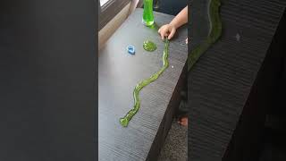 green snake #youtubeshorts #shortvideo #like #share #subscribe