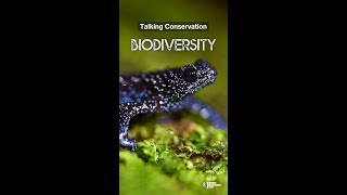 Biodiversity