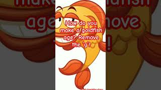 Fish Jokes! #fish #jokes #funny #thejokester