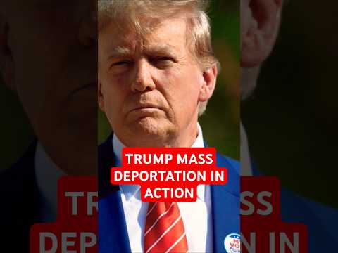 TRUMP MASS DEPORTATION: NYC MIGRANT BRACE FOR IMPACT #news #trump #facts #viralshorts #trending