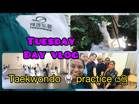 Tuesday Day Vlog 💜✨| taekwondo practice යමු 🥋🇰🇷🤍| Day in my life 🫰🥰 #subscribe #taekwondo