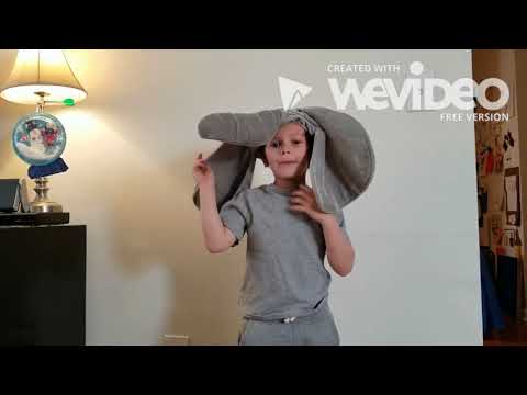 Let's Go for a Drive!