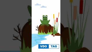 Animated Cartoon Frog #frog #flatdesign #powerpointanimation