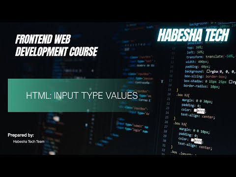 4 HTML Input Type Values